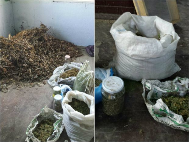 O grupare specializată în circulația substanțelor narcotice reținută de angajații INI