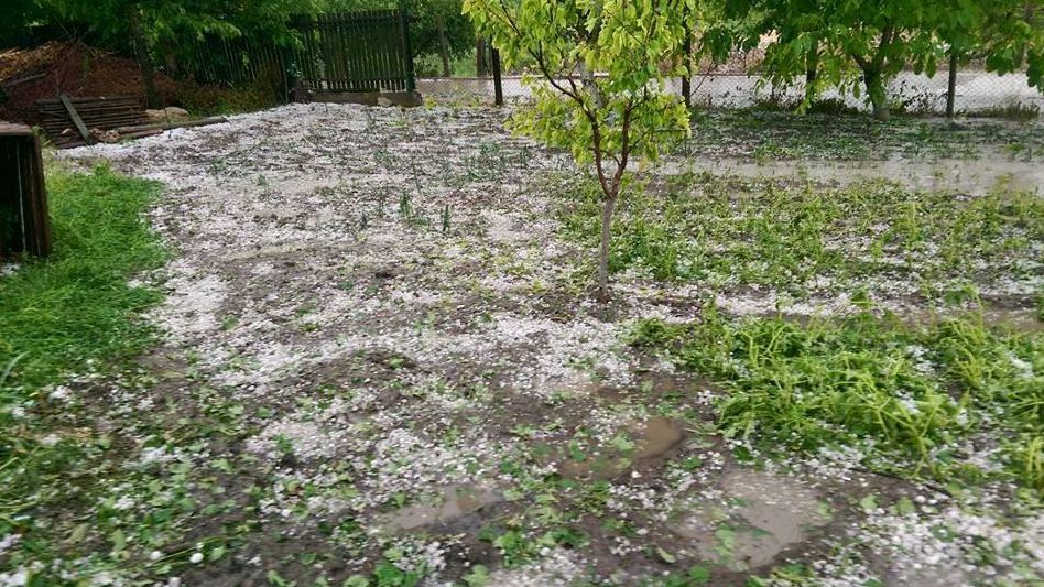 В селе Антонешты град уничтожил тысячи гектаров сельхозугодий