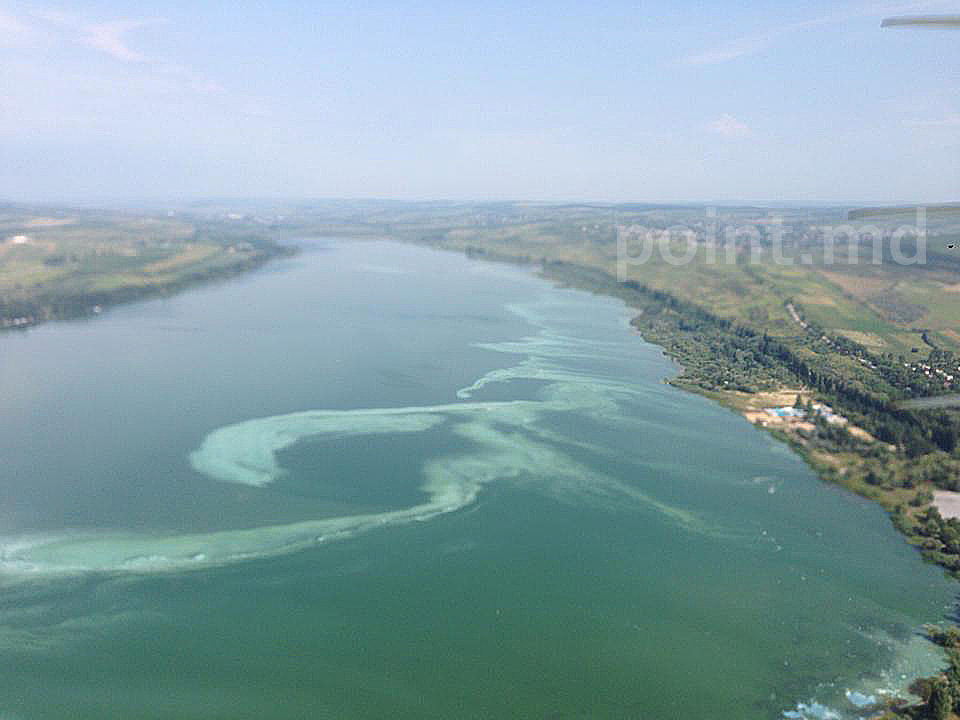 На Гидигичском водохранилище погибла вся рыба