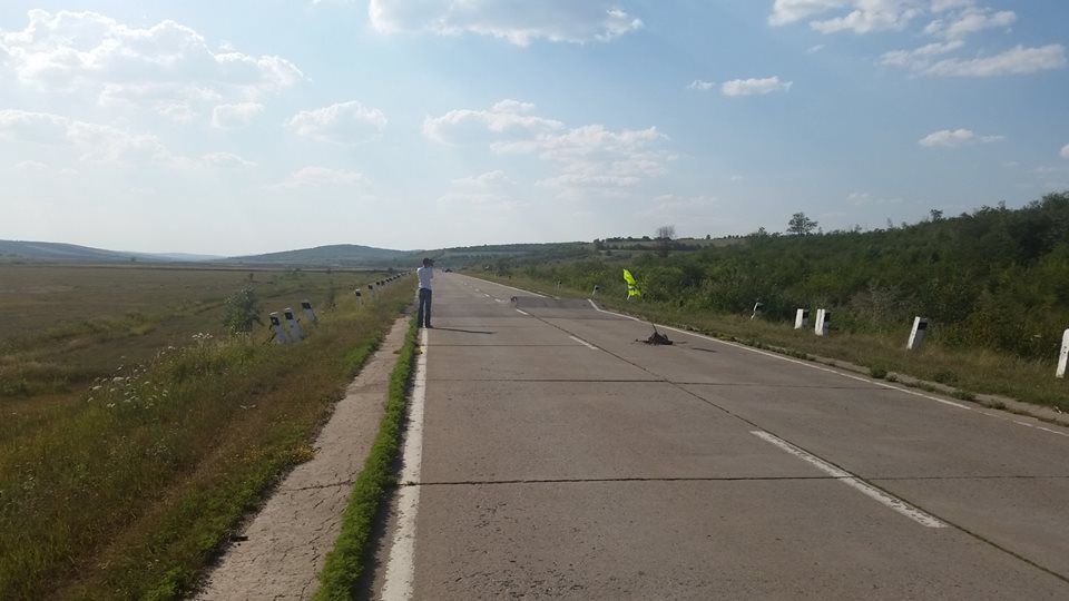 Pericol pe drumul Chişinău-Bălţi. Ce a surprins un şofer pe traseu