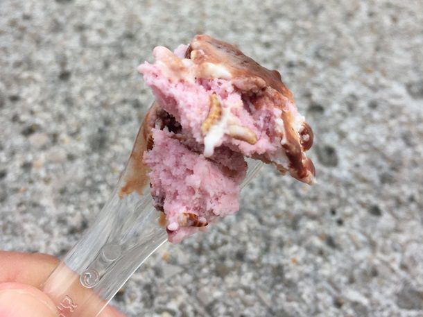 Британцы начали переходить на мороженое с жуками и червями
