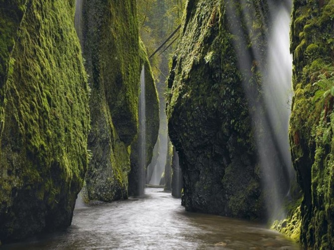 Лучшие фотографии National Geographic за июль