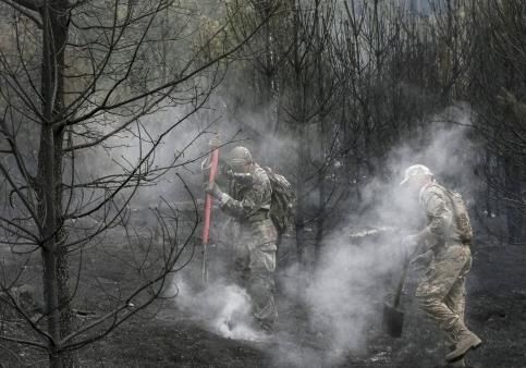 Опубликованы последствия масштабного пожара под Киевом