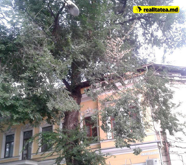 Ce pagube a produs vântul puternic din această după-amiază, în capitală