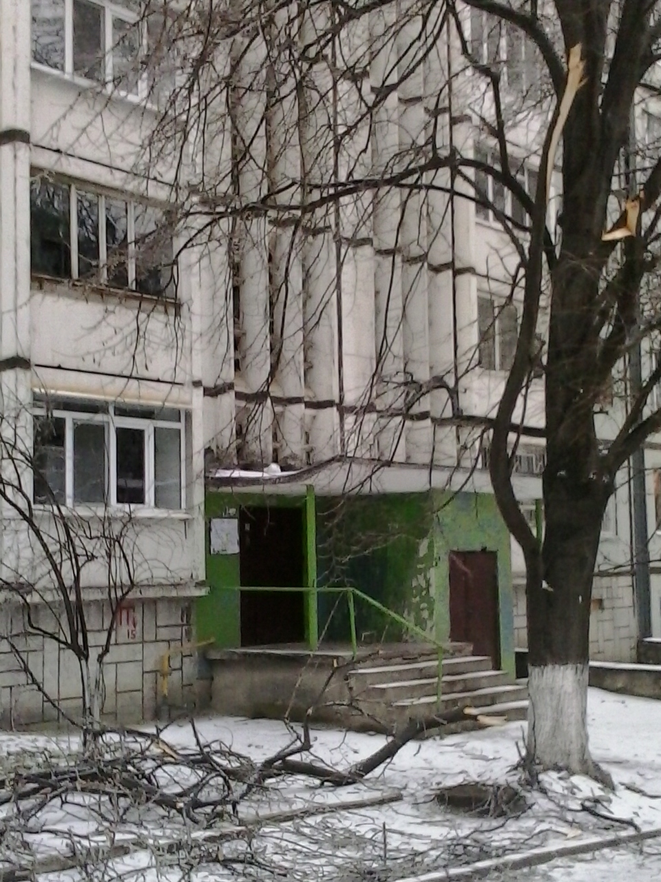 В Кишиневе продолжают падать обледенелые деревья
