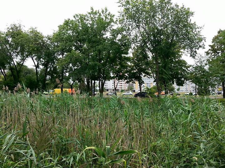 Un sac plin cu bani a fost găsit sub un pod din Chişinău
