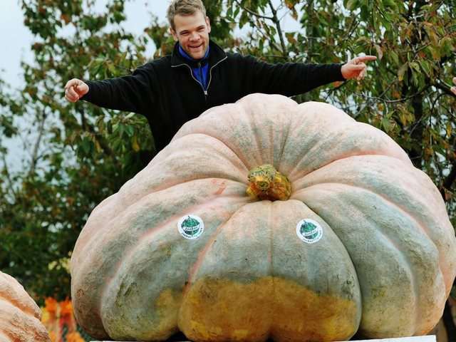 Un elvețian a recoltat un dovleac de 750 de kilograme