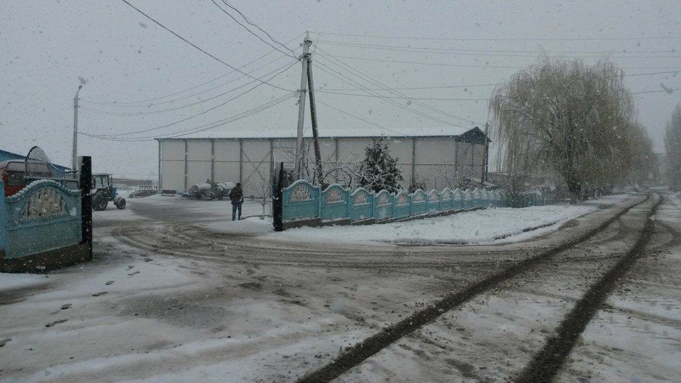 Ninsorile au revenit in Moldova!