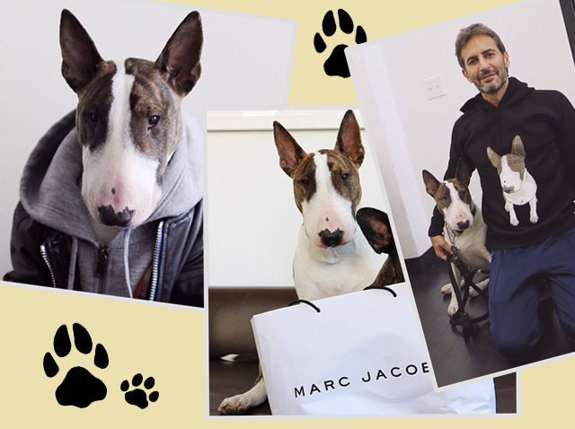 Лицом новой кампании Marc Jacobs стал пес