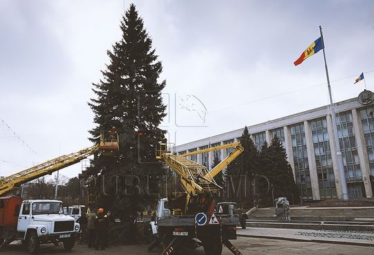 Рождественскую ель установили в центре столицы