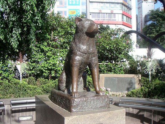 Ultima fotografie a lui Hachiko, cel mai loial câine din lume