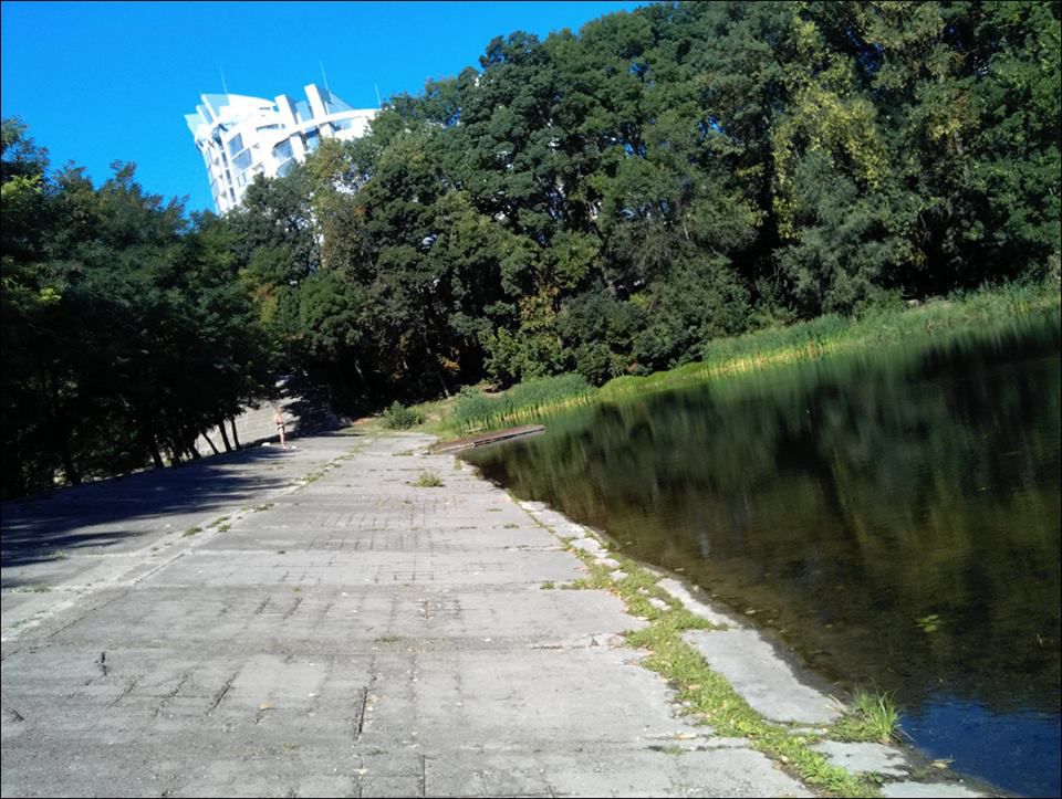 В озере на Рышкановке загрязнена вода и всплыла рыба