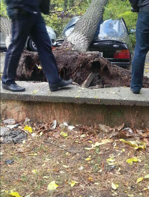 Un arbore a căzut în această dimineaţă peste patru automobile