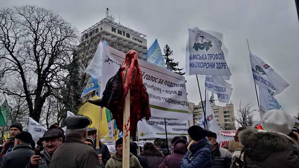 Митингующие перед Радой украсили елки головами коров