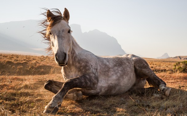 Итоги фотоконкурса путешественников National Geographic