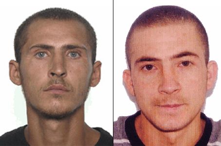 Полиция просит помощи в опознании преступников