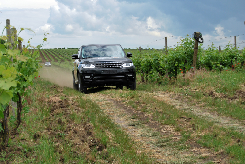 Солнце, воздух, виноградники, вино и… Land Rover – это круто
