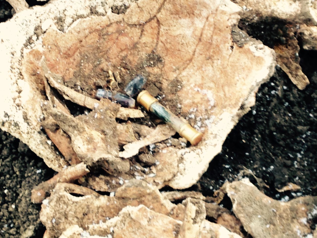 Descoperire arheologică la Ungheni