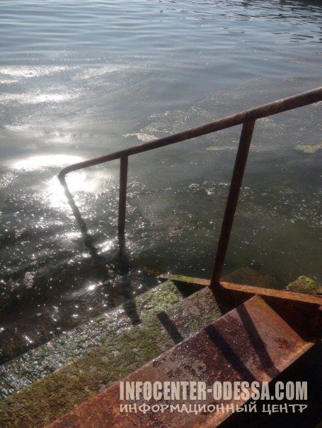 На Черном море – пятна мазута и пленка: туристы обеспокоены