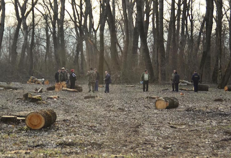 Într-o întreprindere silvică din Ungheni se fură ca-n codru