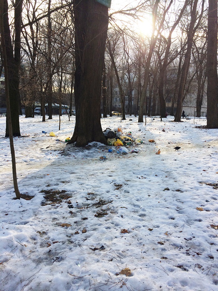 В парке на Рышкановке образовалась свалка мусора