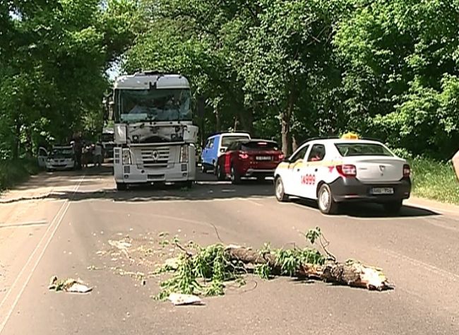 Chișinău: Un copac a căzut din senin peste un camion