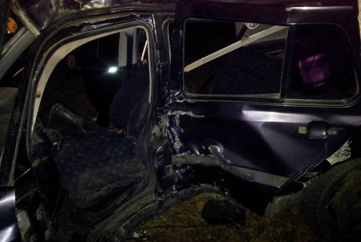 Пять человек попали в больницу после аварии в селе Долна