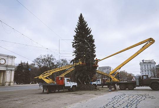 Рождественскую ель установили в центре столицы