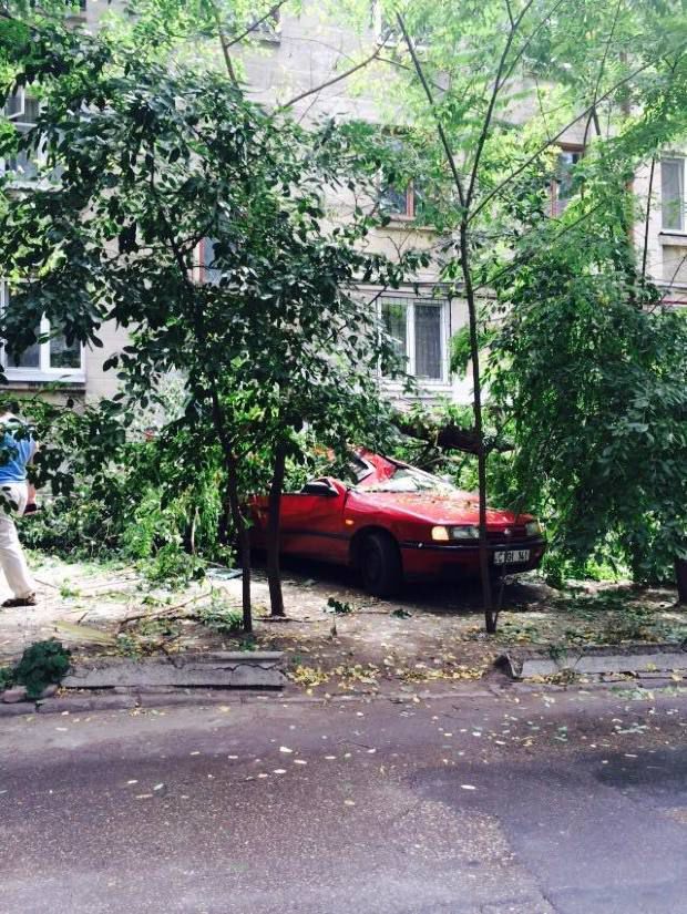 Un Nissan roșu, distrus după ce un plop din capitală s-a prăbușit peste el