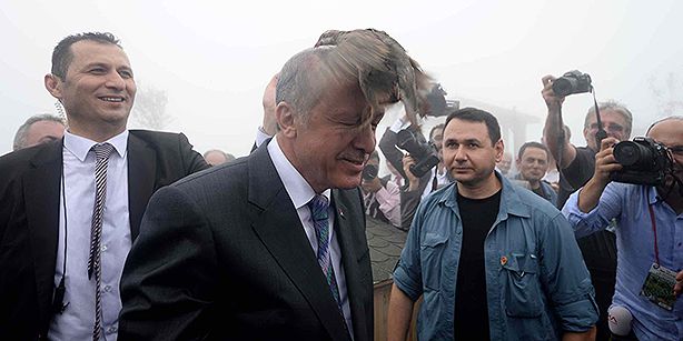O pasăre s-a așezat pe capul președintelui turc