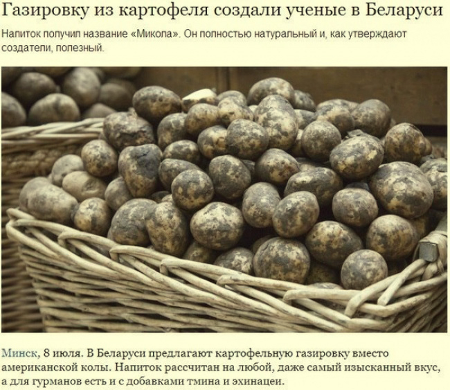 Самые яркие заголовки новостей в рунете