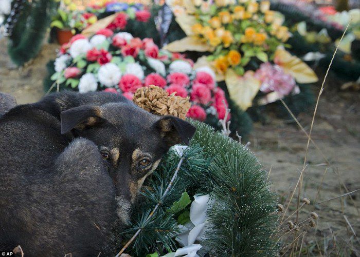 Британцы побывали на самом большом кладбище в Европе - кишиневском кладбище Дойна