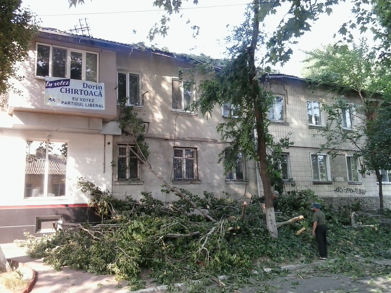 Un copac s-a prăbușit peste o casă din sectorul Buiucani