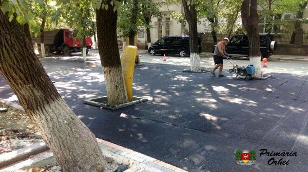 Илан Шор лично контролирует реконструкцию парка в Оргееве