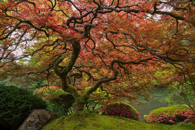 45 Лучших фотографий 2013 года по версии журнала TwistedSifter