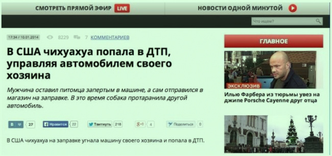 Самые яркие заголовки новостей в рунете