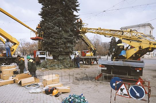 Рождественскую ель установили в центре столицы