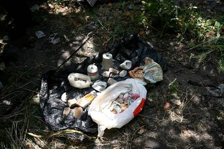 В Киеве нашли тайник со взрывчаткой и старинной иконой