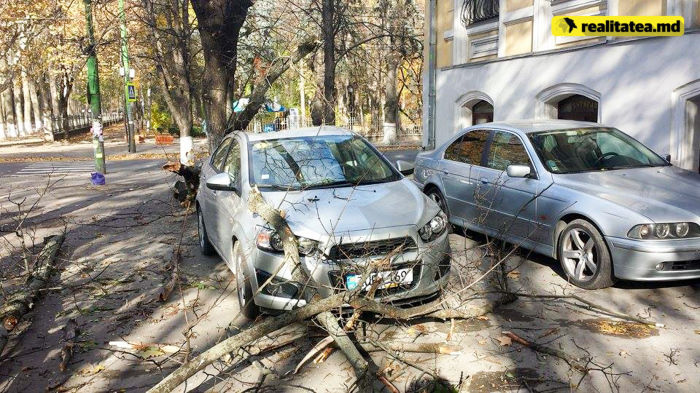 В центре Кишинева на машину упало дерево