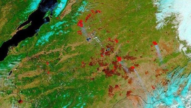 Спутник NASA получил новые фотографии лесных пожаров в Сибири