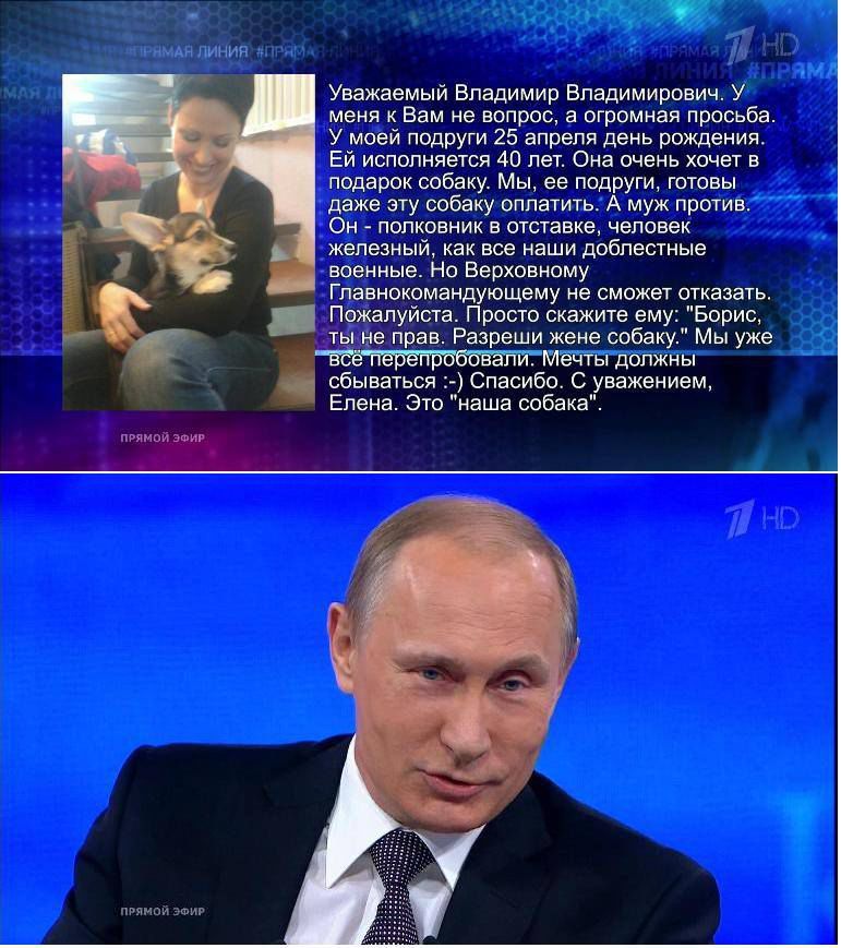 Вопрос о собаке в подарок поставил Путина в сложное положение