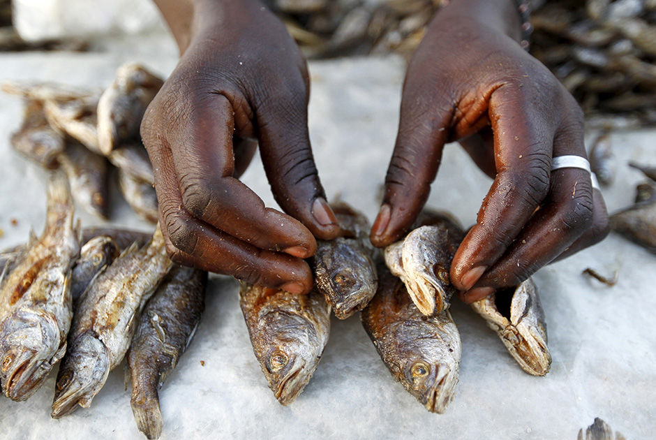 Как живет родная деревня Обамы