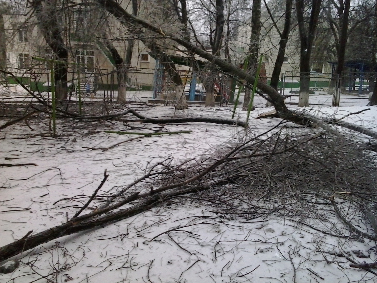 В Кишиневе продолжают падать обледенелые деревья