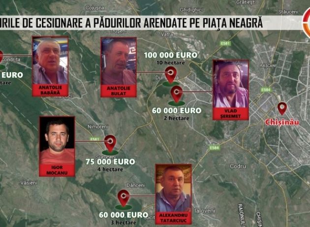 На черном рынке Молдовы гектар леса можно купить за десятки тысяч евро
