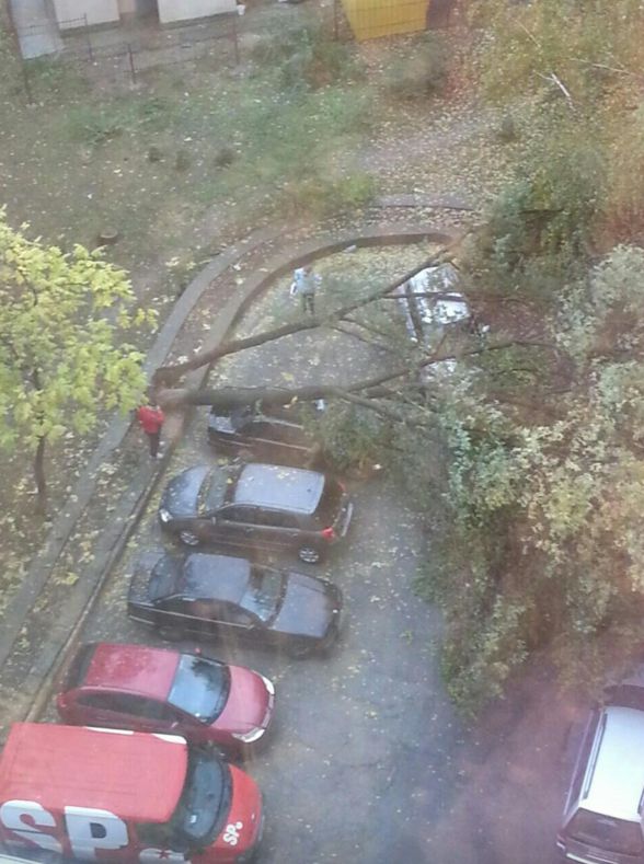 Un arbore a căzut în această dimineaţă peste patru automobile