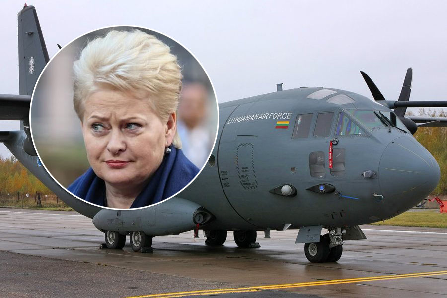 Президент Литвы Даля Грибаускайте прилетела в Молдову на военном самолете