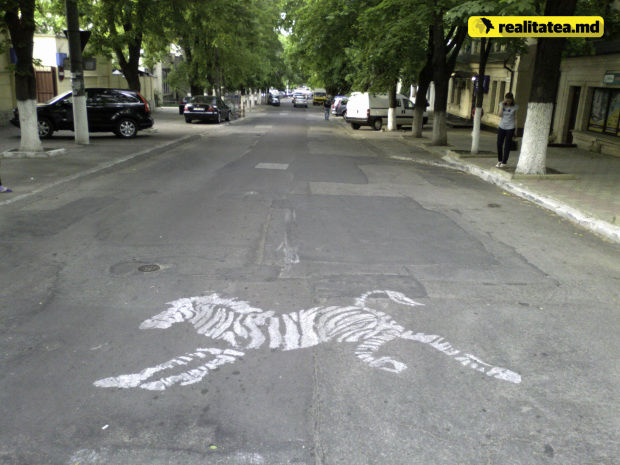 Zebră originală la o intersecție din centrul capitalei. Cineva a desenat pe asfalt un animal
