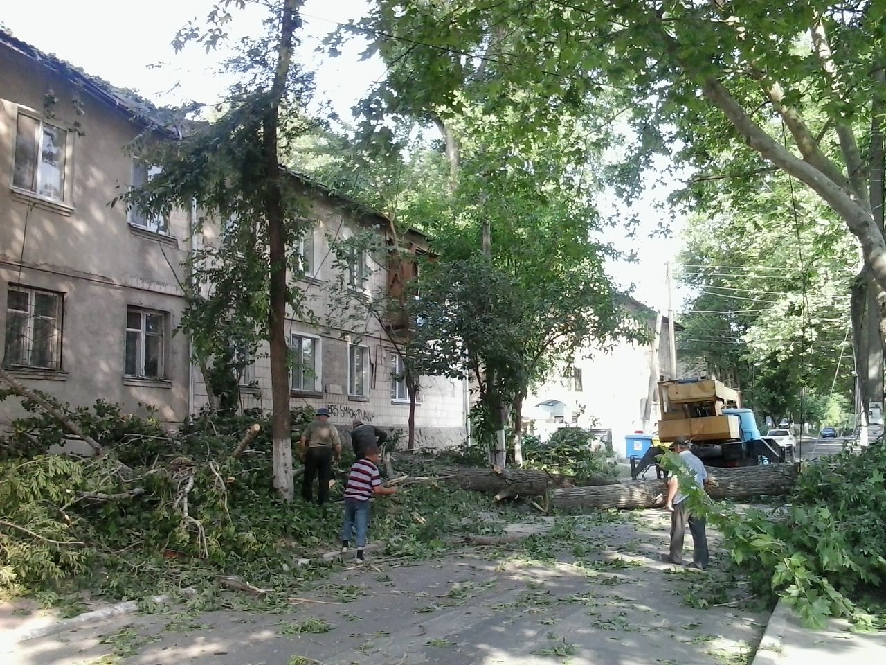 На Буюканах на жилой дом упало дерево