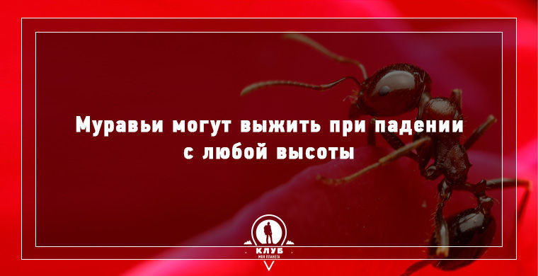 10 интересных фактов о мире, которые вы вряд ли знали
