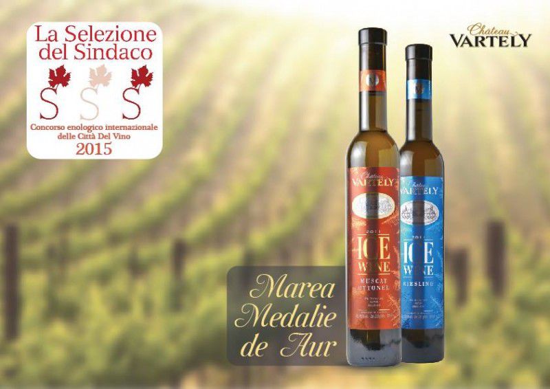 Un vin din Moldova, premiat cu aur la un concurs internațional din Italia